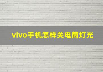 vivo手机怎样关电筒灯光