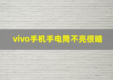 vivo手机手电筒不亮很暗