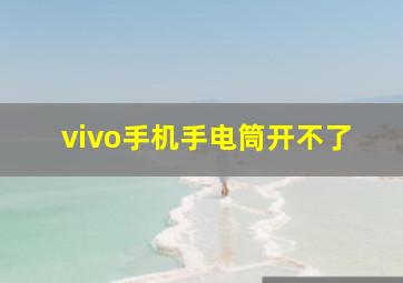 vivo手机手电筒开不了