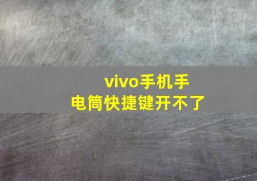 vivo手机手电筒快捷键开不了