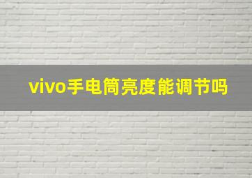 vivo手电筒亮度能调节吗