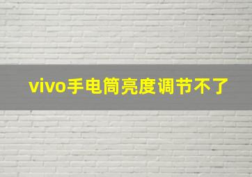 vivo手电筒亮度调节不了