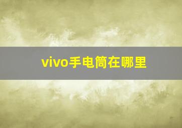 vivo手电筒在哪里