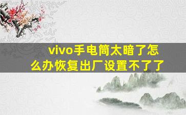 vivo手电筒太暗了怎么办恢复出厂设置不了了