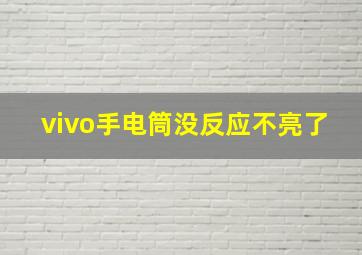 vivo手电筒没反应不亮了