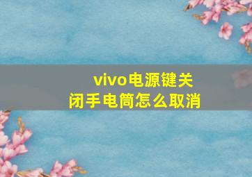 vivo电源键关闭手电筒怎么取消