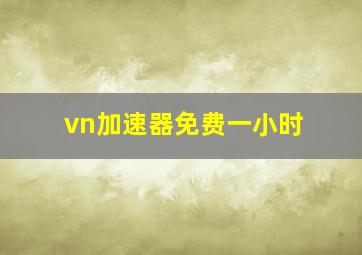 vn加速器免费一小时