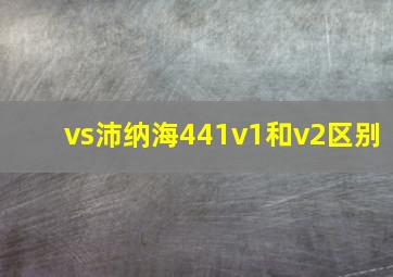 vs沛纳海441v1和v2区别