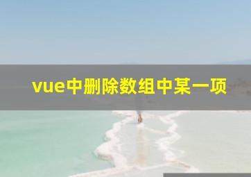 vue中删除数组中某一项