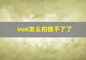 vue怎么拍摄不了了