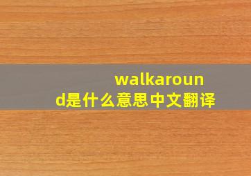 walkaround是什么意思中文翻译