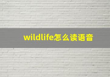 wildlife怎么读语音