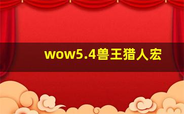 wow5.4兽王猎人宏