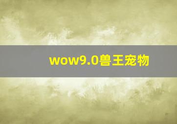 wow9.0兽王宠物