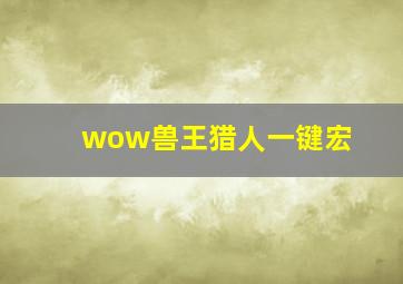 wow兽王猎人一键宏