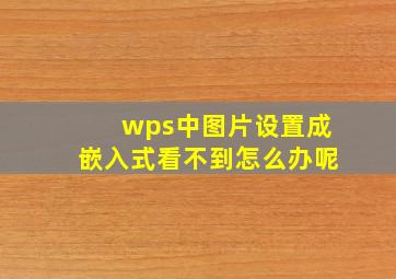 wps中图片设置成嵌入式看不到怎么办呢