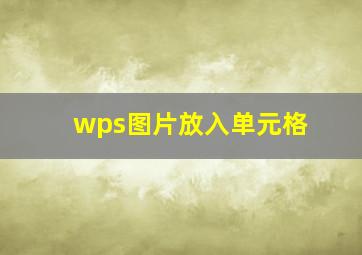 wps图片放入单元格