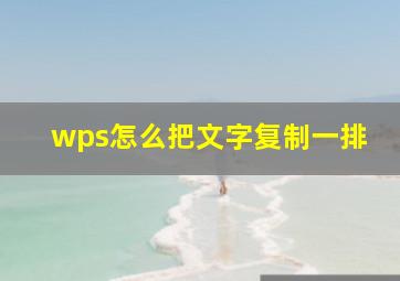 wps怎么把文字复制一排