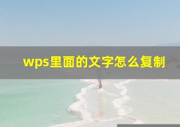 wps里面的文字怎么复制