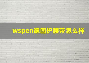 wspen德国护腰带怎么样