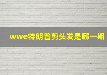 wwe特朗普剪头发是哪一期