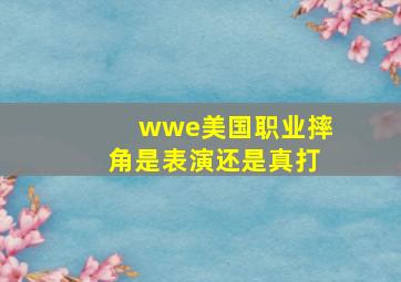 wwe美国职业摔角是表演还是真打