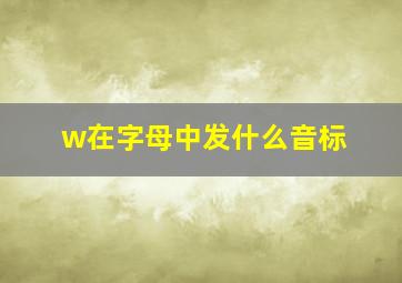 w在字母中发什么音标