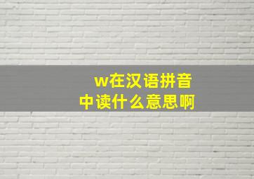 w在汉语拼音中读什么意思啊