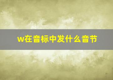 w在音标中发什么音节