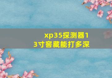 xp35探测器13寸窖藏能打多深