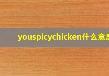 youspicychicken什么意思