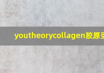 youtheorycollagen胶原蛋白