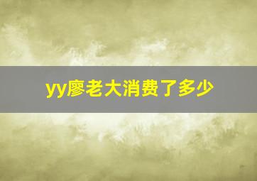 yy廖老大消费了多少