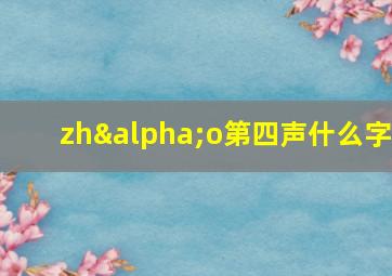 zhαo第四声什么字