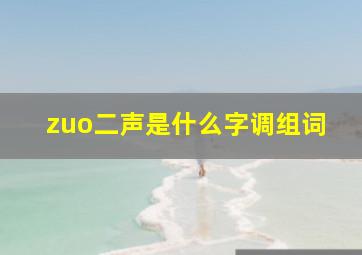 zuo二声是什么字调组词