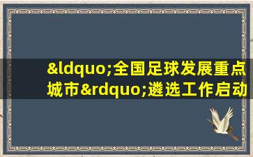 “全国足球发展重点城市”遴选工作启动