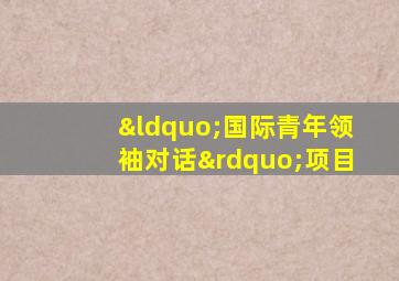 “国际青年领袖对话”项目