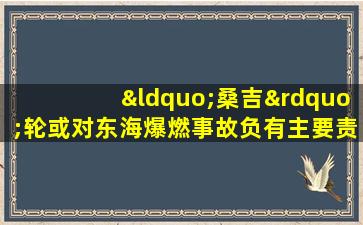 “桑吉”轮或对东海爆燃事故负有主要责任