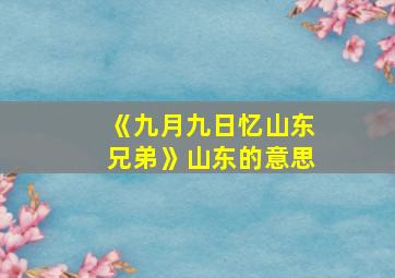 《九月九日忆山东兄弟》山东的意思