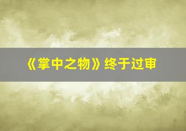 《掌中之物》终于过审