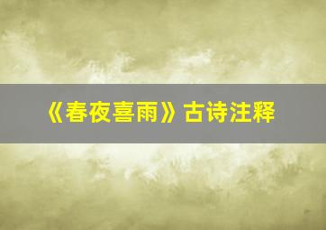 《春夜喜雨》古诗注释