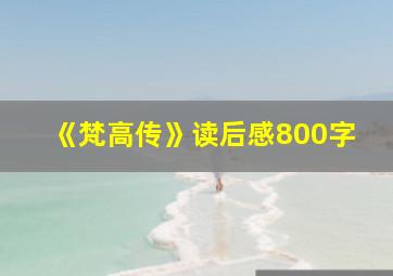 《梵高传》读后感800字