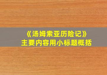 《汤姆索亚历险记》主要内容用小标题概括