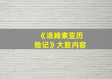 《汤姆索亚历险记》大致内容