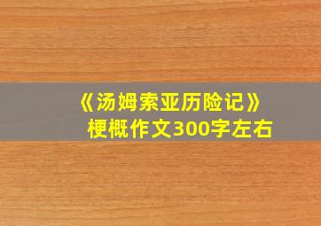 《汤姆索亚历险记》梗概作文300字左右