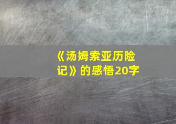 《汤姆索亚历险记》的感悟20字