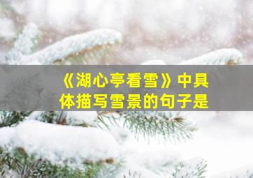 《湖心亭看雪》中具体描写雪景的句子是