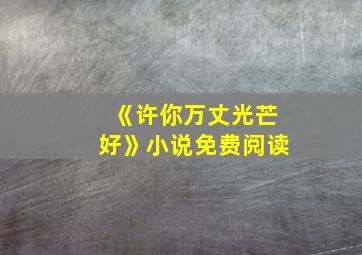 《许你万丈光芒好》小说免费阅读