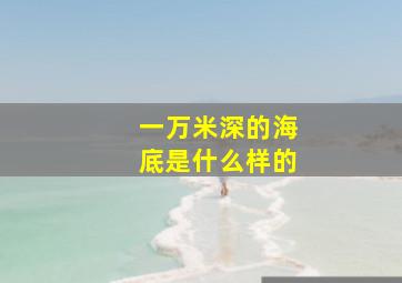 一万米深的海底是什么样的