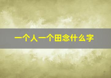 一个人一个田念什么字